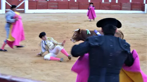 NOVILLADA FERIA DE LOS SABORES 2024 (113)