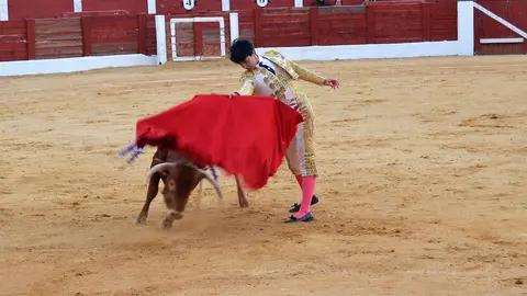 NOVILLADA FERIA DE LOS SABORES 2024 (123)