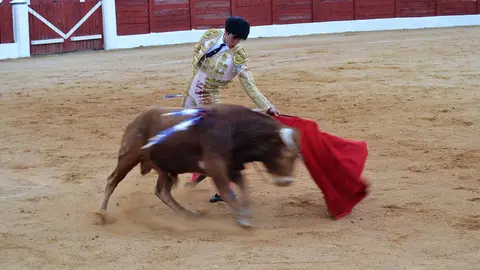 NOVILLADA FERIA DE LOS SABORES 2024 (130)
