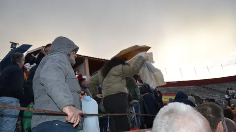 NOVILLADA FERIA DE LOS SABORES 2024 (131)