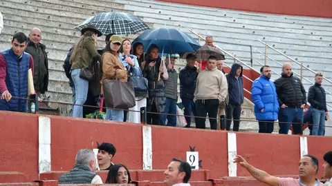 NOVILLADA FERIA DE LOS SABORES 2024 (137)