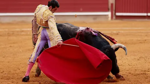 IMG-20240428-WA0032_resized_20240429_092646704