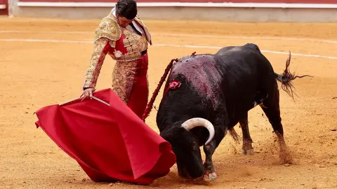 IMG-20240428-WA0056_resized_20240429_092626695