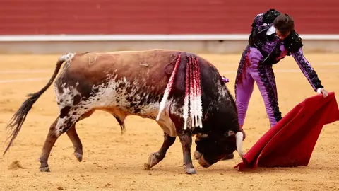 IMG-20240428-WA0062_resized_20240429_092554366