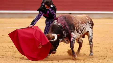 IMG-20240428-WA0064_resized_20240429_092607940