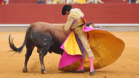 IMG-20240428-WA0076_resized_20240429_092605986