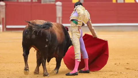 IMG-20240428-WA0080_resized_20240429_092629596