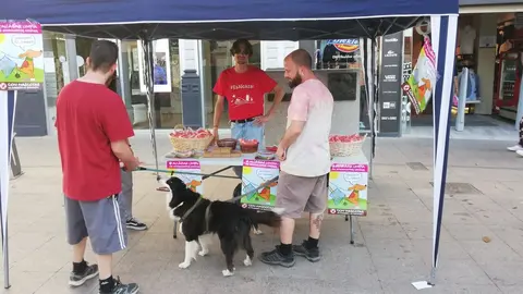 IMG_20240510_184830_resized_20240510_080243751