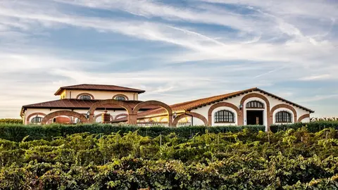 La bodega Fari&ntilde;a copia