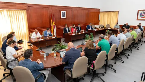 20240624_Pleno ordinario 01_Comsermancha
