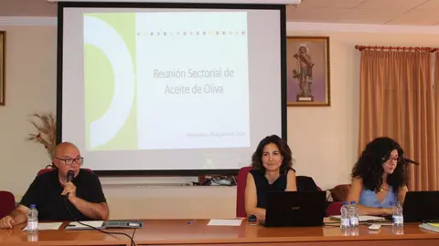 sectorial aceite junio