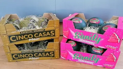 2963_nueva-imagen-cinco-casas