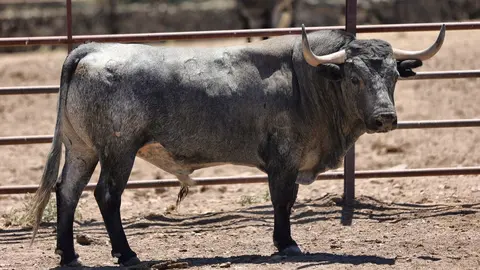 Processed with MOLDIV