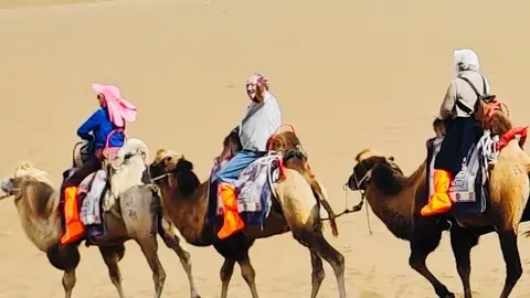 mmexport1729128481457