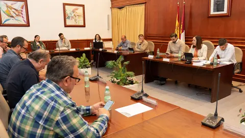 20241022_Pleno Ordinario 002_Comsermancha
