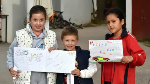 recogida de productos dana 3