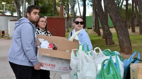 recogida de productos dana 5