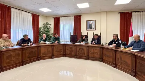 8.1.2025 Junta Local Seguridad Villarta de San Juan