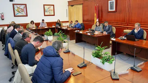 20250110_Pleno Ordinario 001_Comsermancha