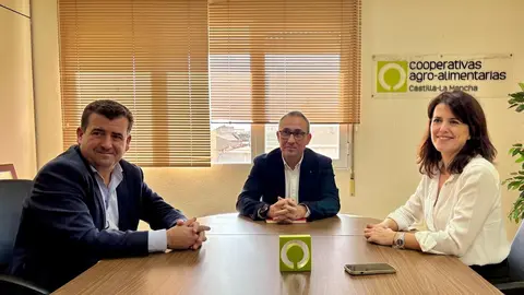 pelayo, chamorro y del real