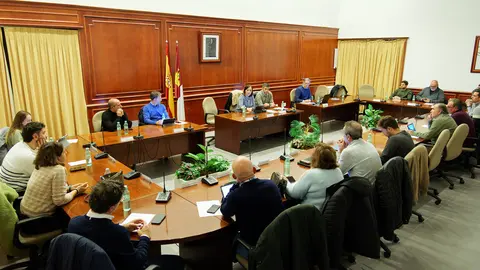 20250214_Pleno Ordinario 003_Comsermancha
