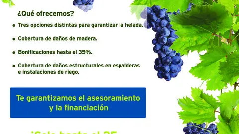 publi-seguro-vi&ntilde;edo-helada-DEF.