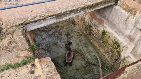 Presentaci&oacute;n1