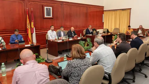 20250416_Pleno 04_Comsermancha