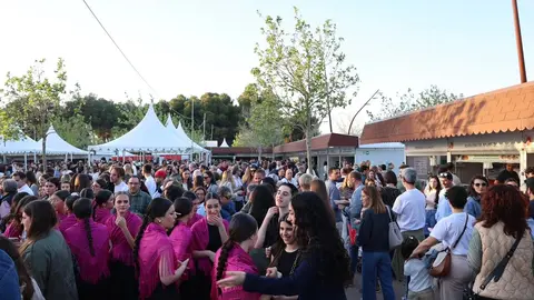 494994936_1097372692418054_13574806326728029_n