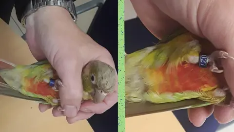 493932451_122258329898013725_7975582605906625139_n