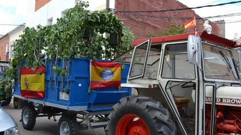 DSC_0119 - copia - copia - copia - copia