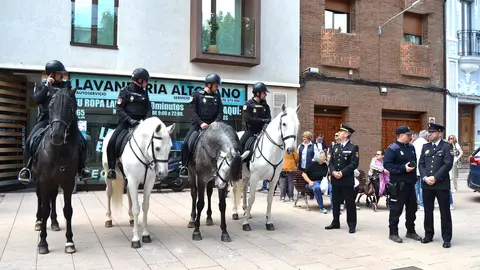 DSC_0174 - copia - copia