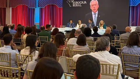 20250529 FOTOGRAF&Iacute;A INTERVENCI&Oacute;N PRESIDENTE FUNDACI&Oacute;N EUROCAJA RURAL INTERNATIONAL CONGRESS ON NEUROINFLAMMATION