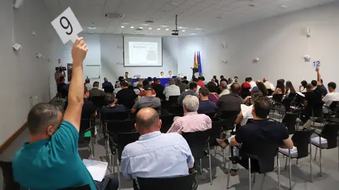 129&ordm; subasta de sementales de raza ovina manchega (Fercam 2025) (2)