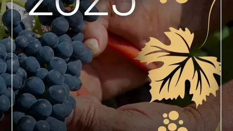 Cartel Bolsa Vendimia Campo de Criptana