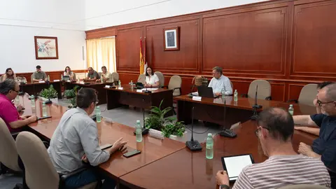 Pleno Comsermancha agosto 2025_