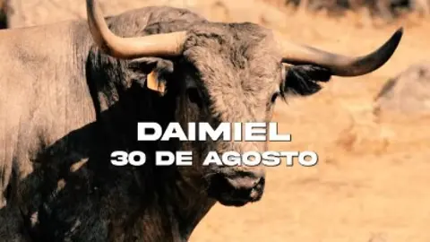 c8042c55-4c1c-878a-ad65-6aaaa855d9d7