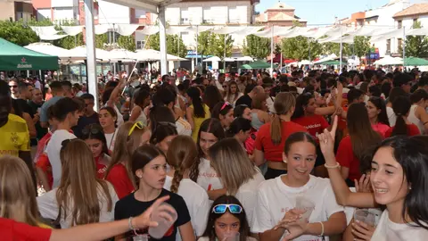 feria de d&iacute;a (15)