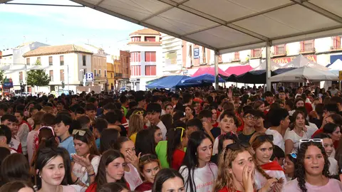 feria de d&iacute;a (38)