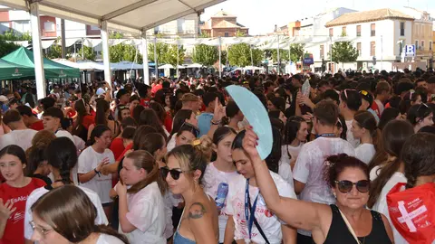 feria de d&iacute;a (41)