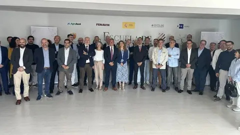 p1j74tuj26amd1rpvkhlcbc9gq4