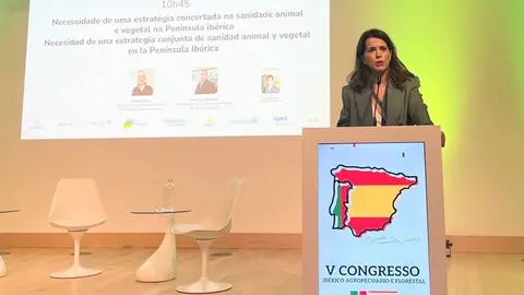 WhatsApp Image 2025-10-10 at 12.23.33