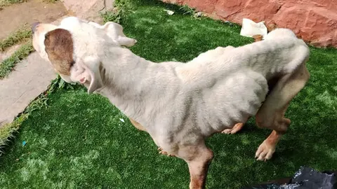 2025-11-14 Foto prensa