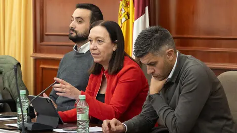 pleno Comsermancha noviembre