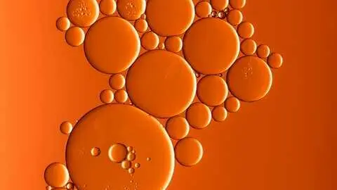  El mejor col&aacute;geno en 2025: gu&iacute;a de suplementos 