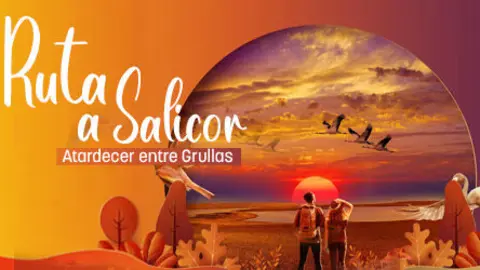 SALICOR480X250