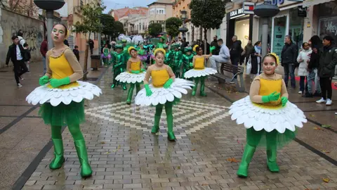 IMG_7609 - copia - copia