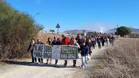 WhatsApp Image 2026-01-11 at 13.16.54(1)