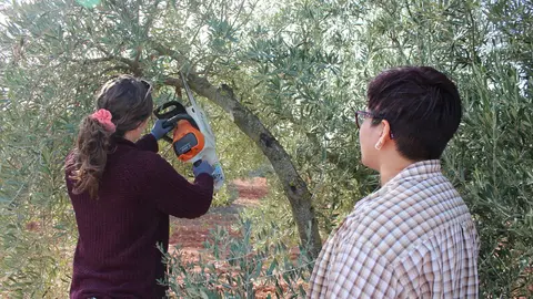 CALENDARIO PROGRAMA CULTIVA