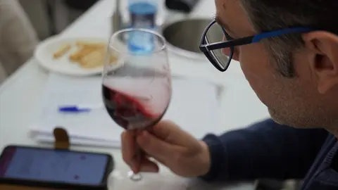 El comit&eacute; de cata ya est&aacute; evaluando las primeras muestras entrantes